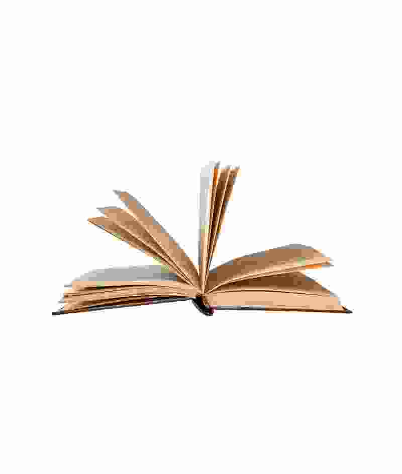 Shop Primary Image Shop Primary Image